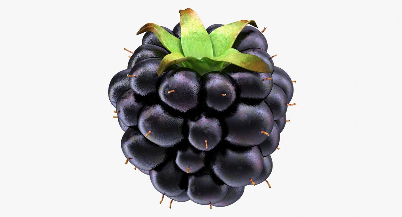 3D model Blackberry