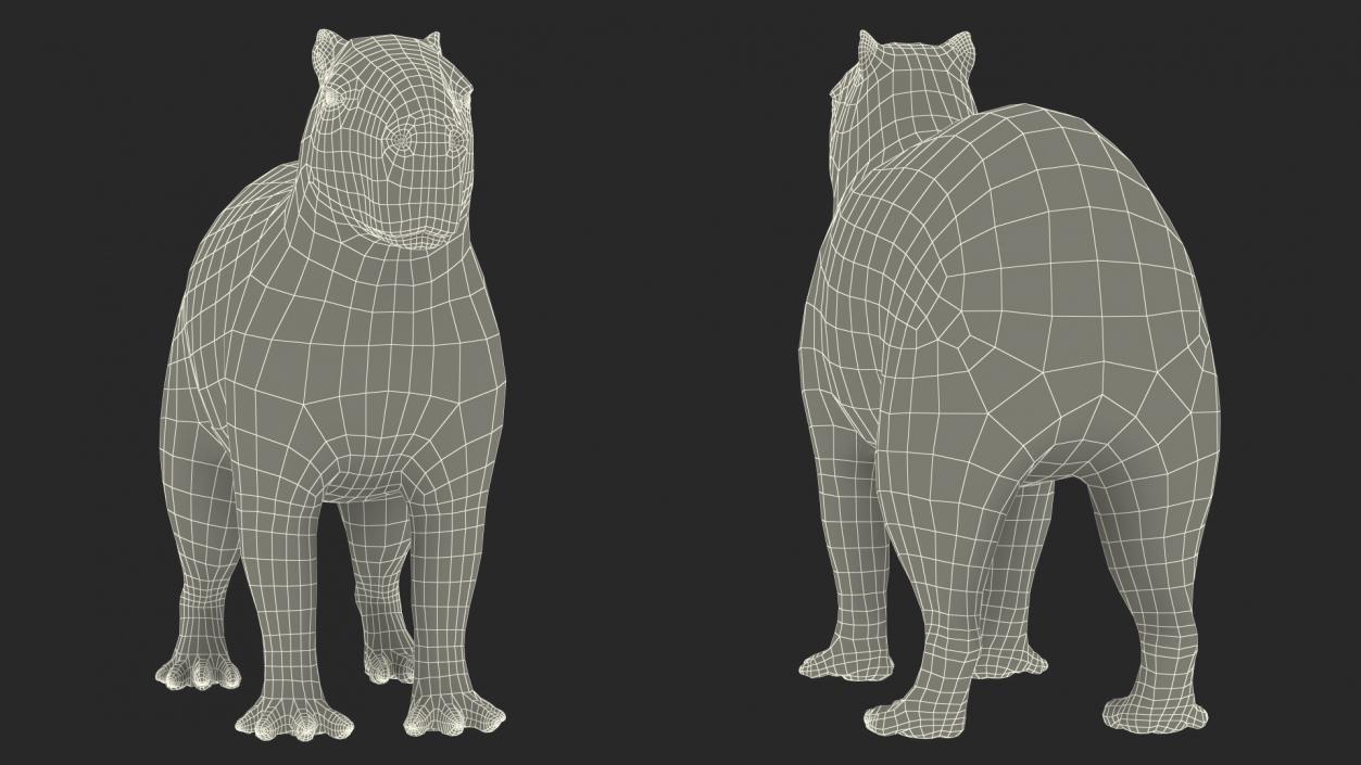 Capybara Fur Rigged 3D model