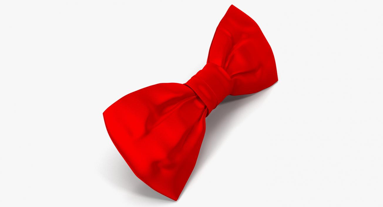 3D Fashion Accessories Bowtie and Hair Bows Collection