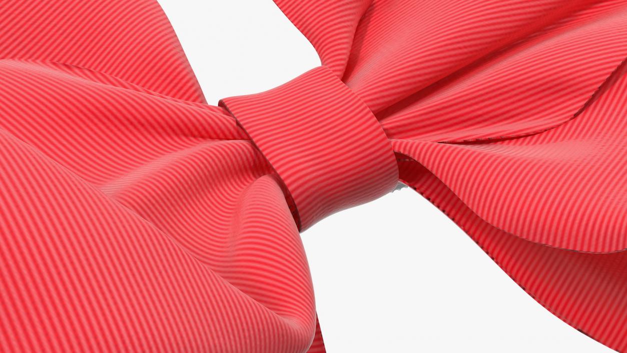 3D Fashion Accessories Bowtie and Hair Bows Collection