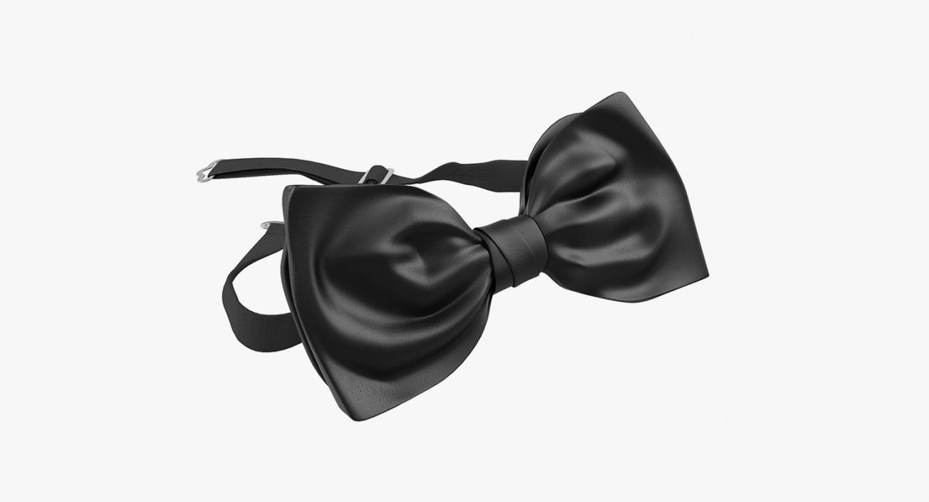 3D Fashion Accessories Bowtie and Hair Bows Collection