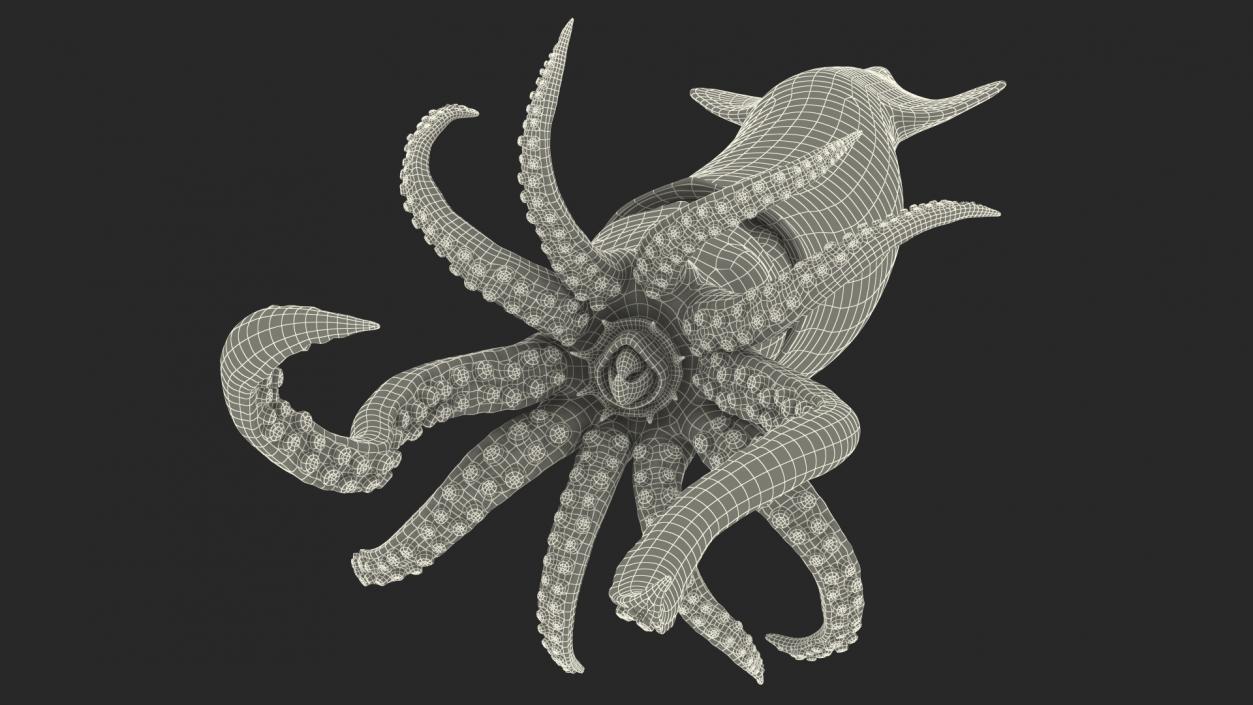 3D Doryteuthis Plei Arrow Squid model