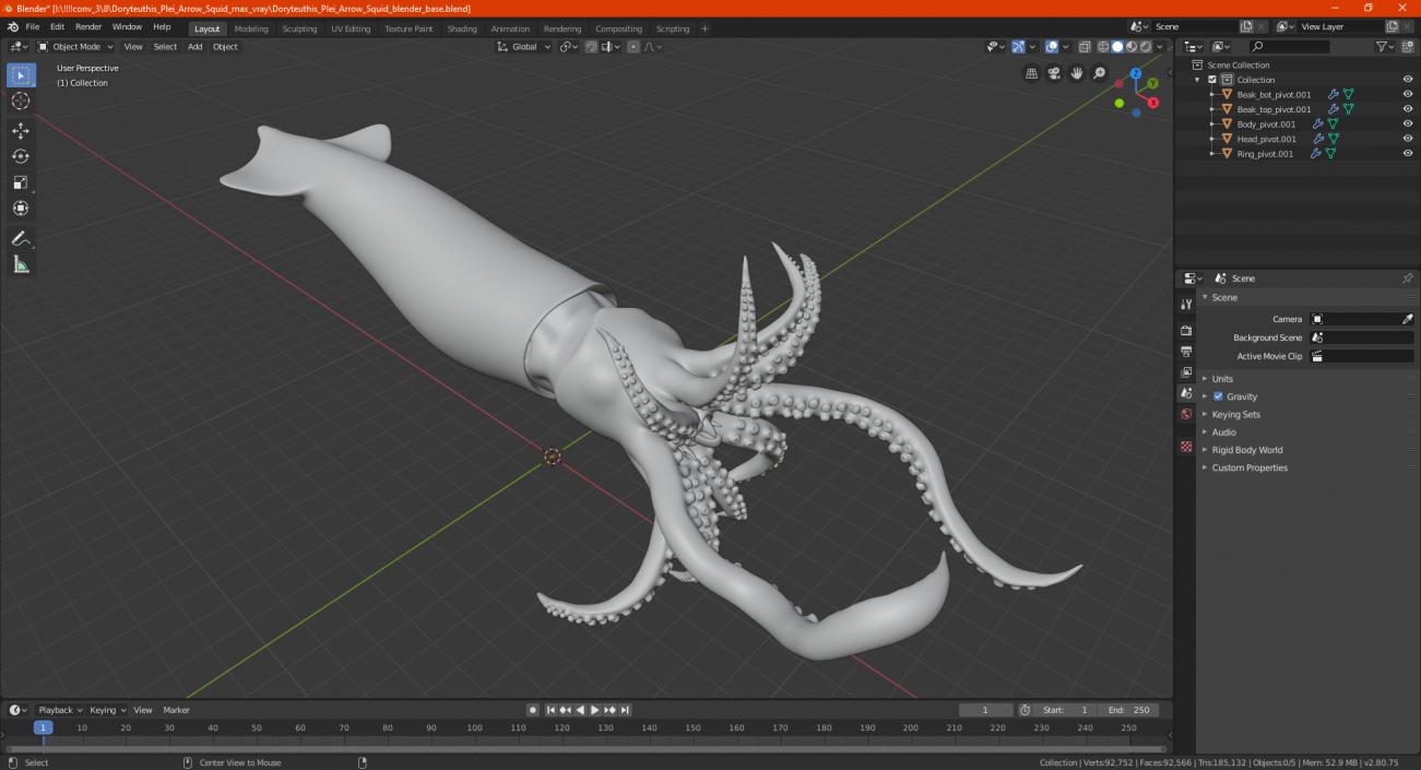 3D Doryteuthis Plei Arrow Squid model