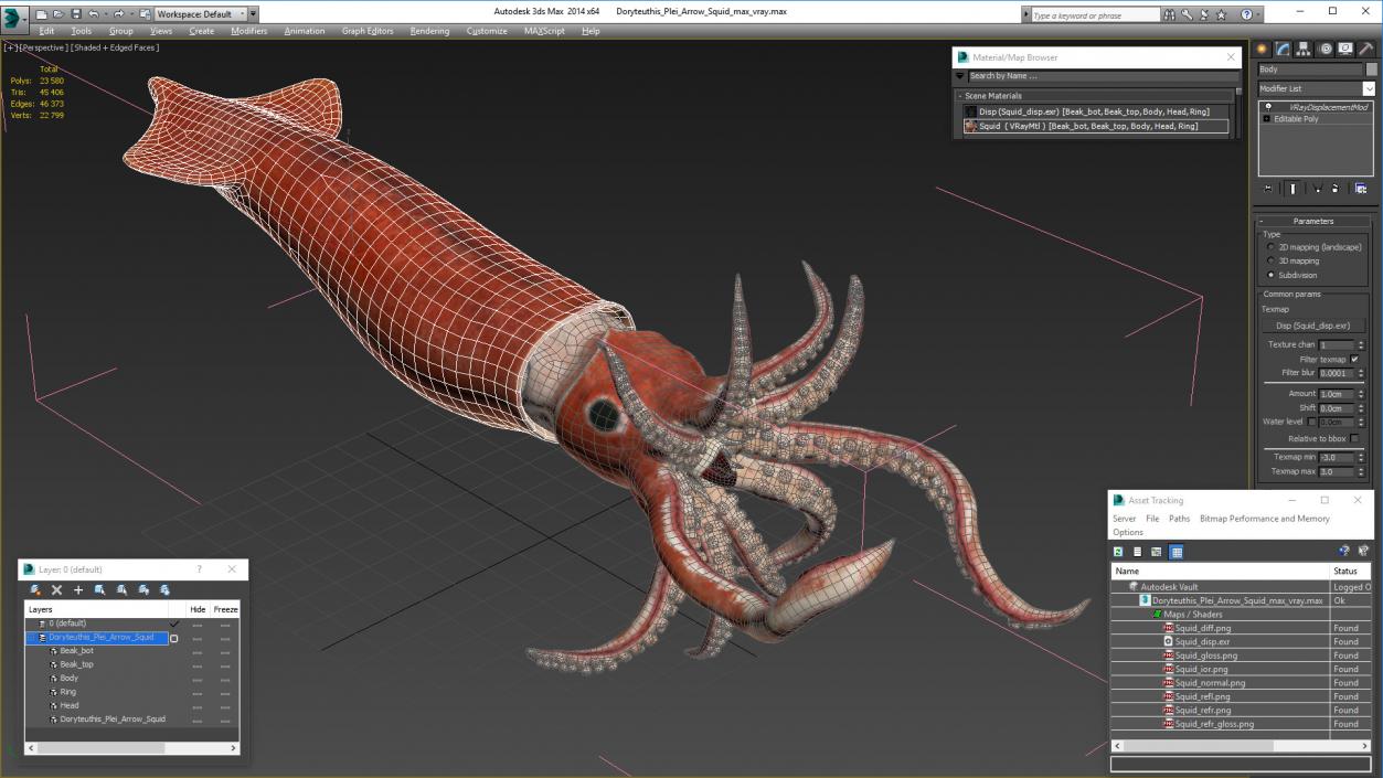 3D Doryteuthis Plei Arrow Squid model