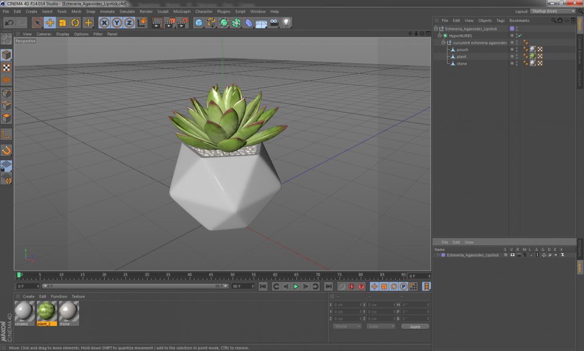 3D Echeveria Agavoides Lipstick model