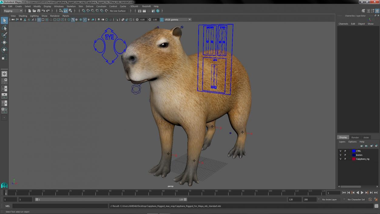 Capybara Rigged for Maya 3D model