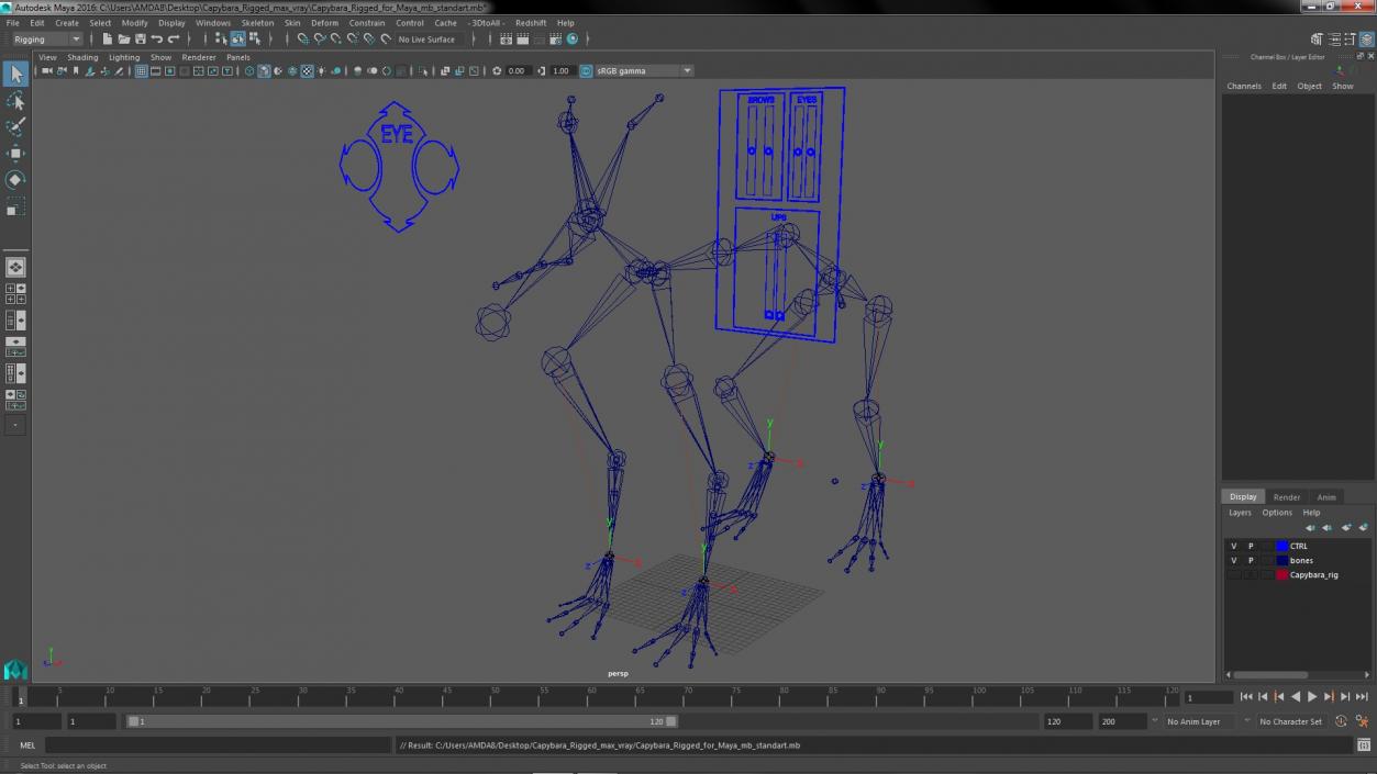 Capybara Rigged for Maya 3D model