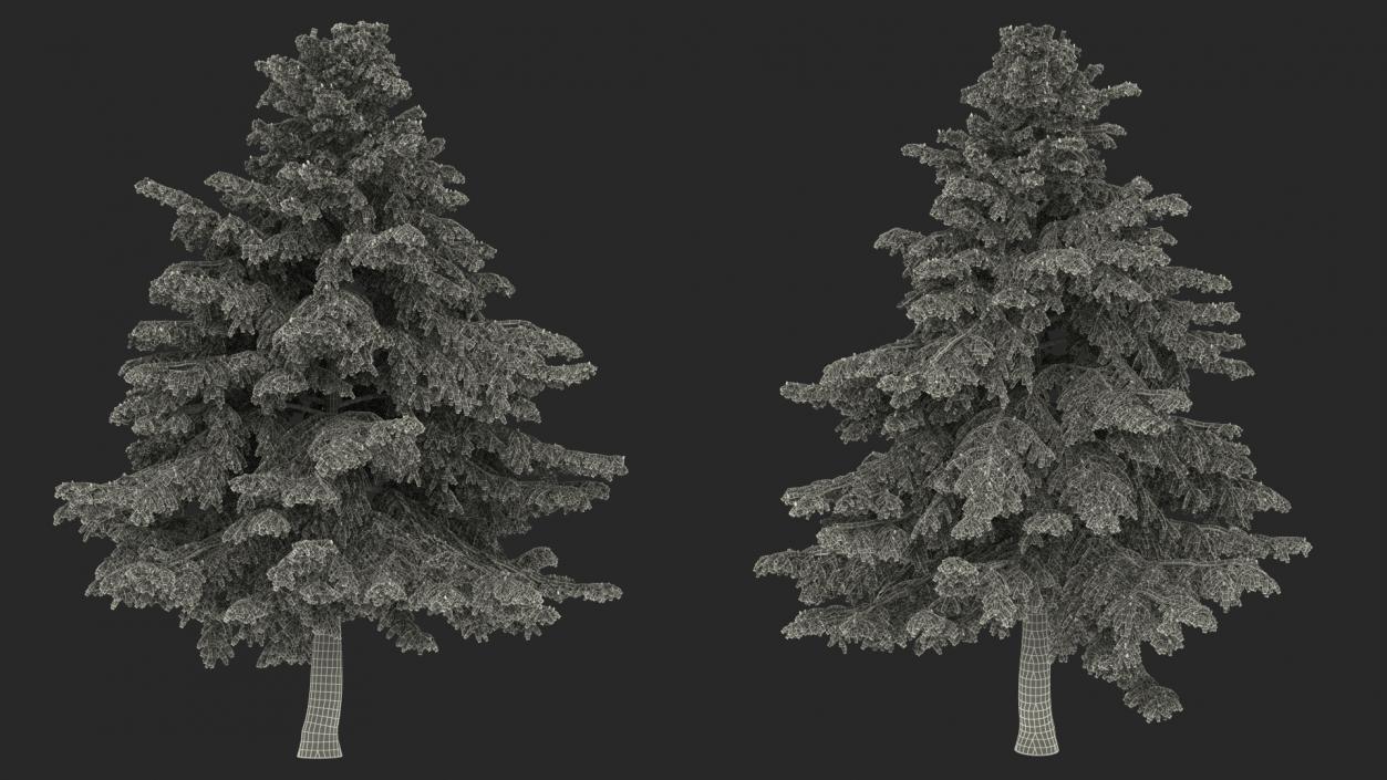 3D Evergreen Trees Collection