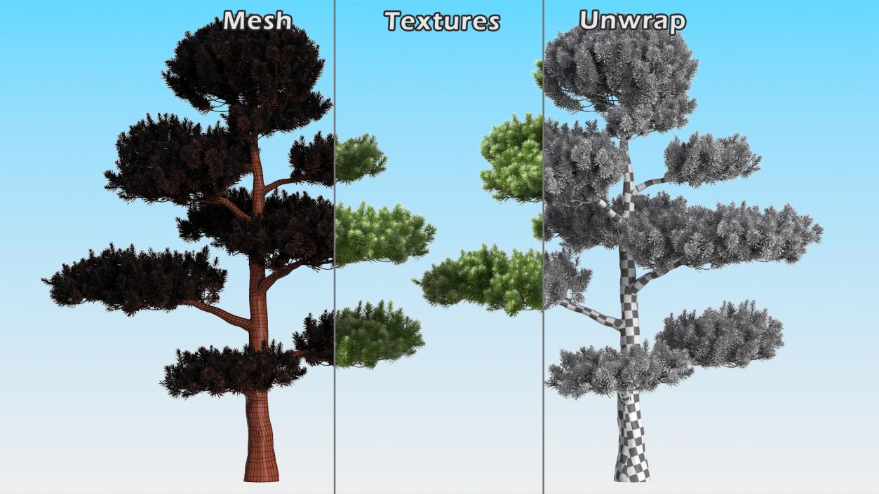 3D Evergreen Trees Collection