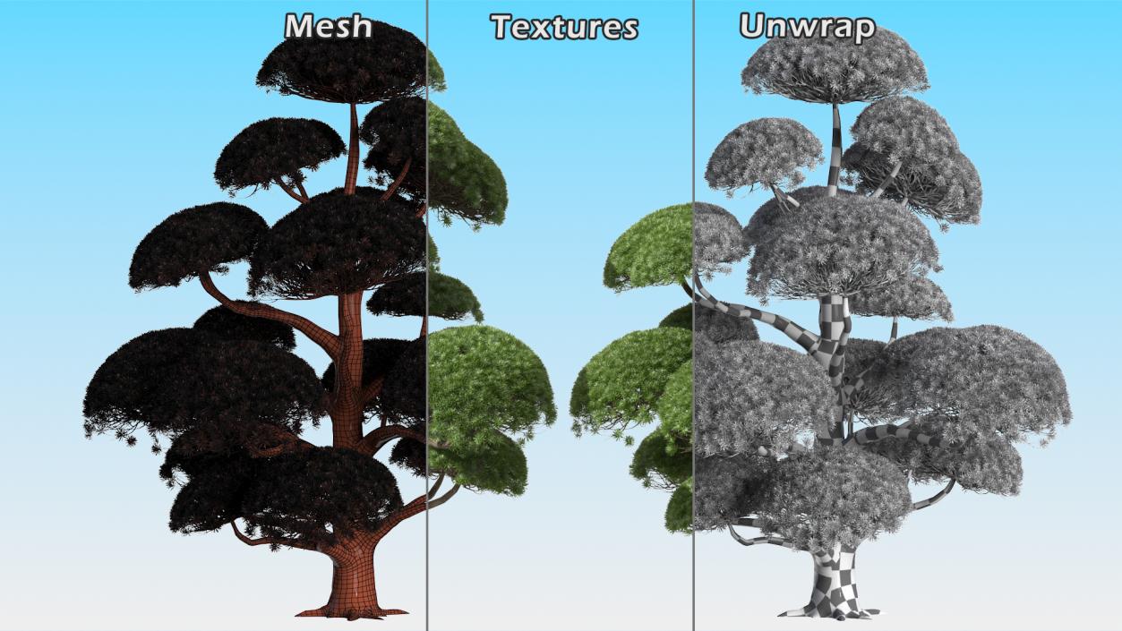 3D Evergreen Trees Collection