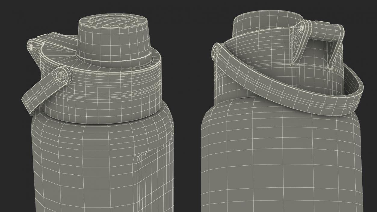 Sports Bottle Blue Close 3D model