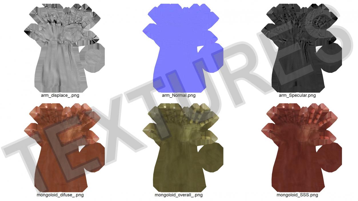 3D model Hand of African Female Victory Sign Pose