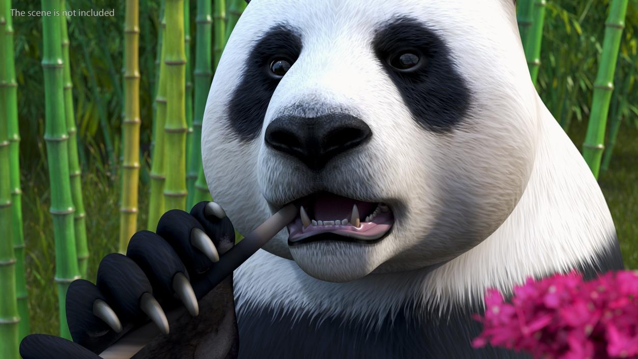 Giant Panda Sitting Pose 3D model