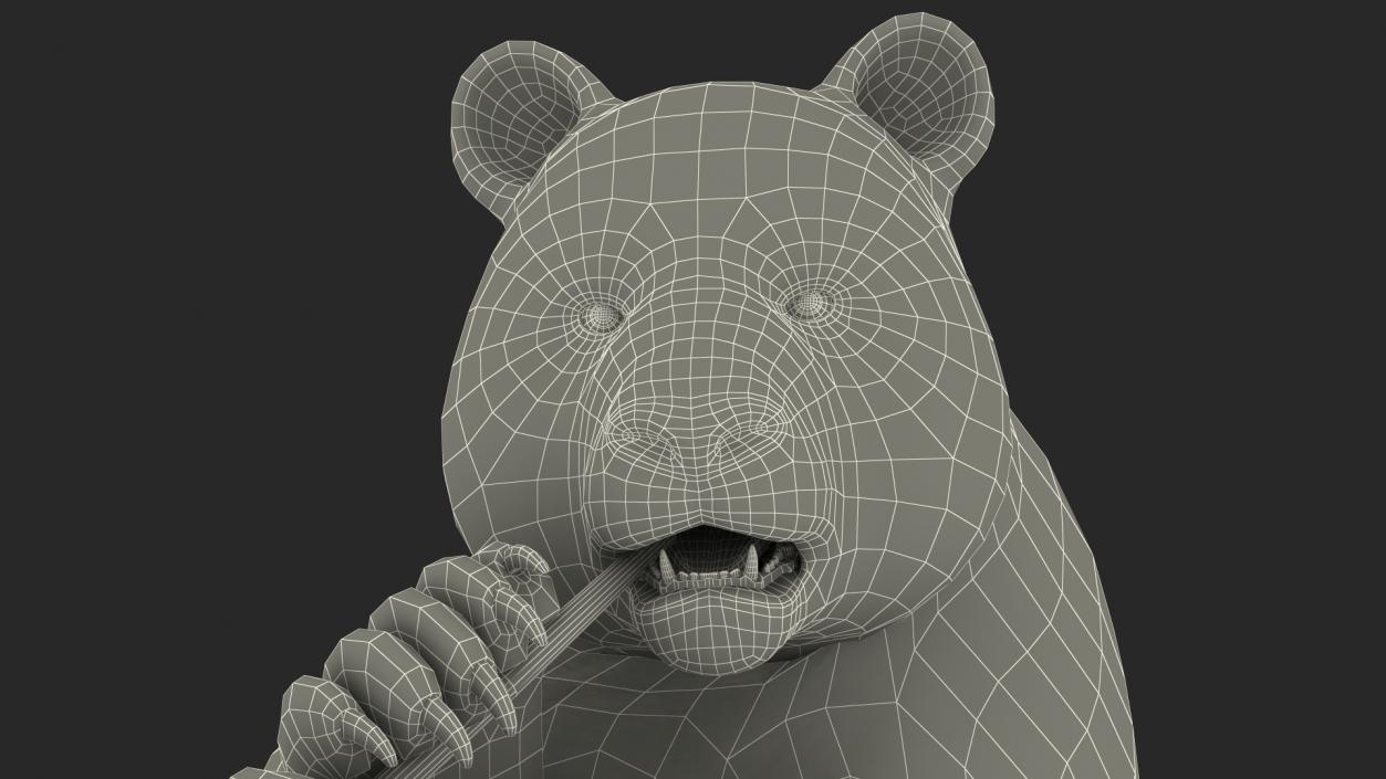 Giant Panda Sitting Pose 3D model