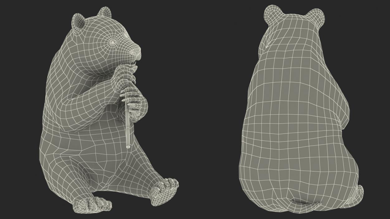 Giant Panda Sitting Pose 3D model