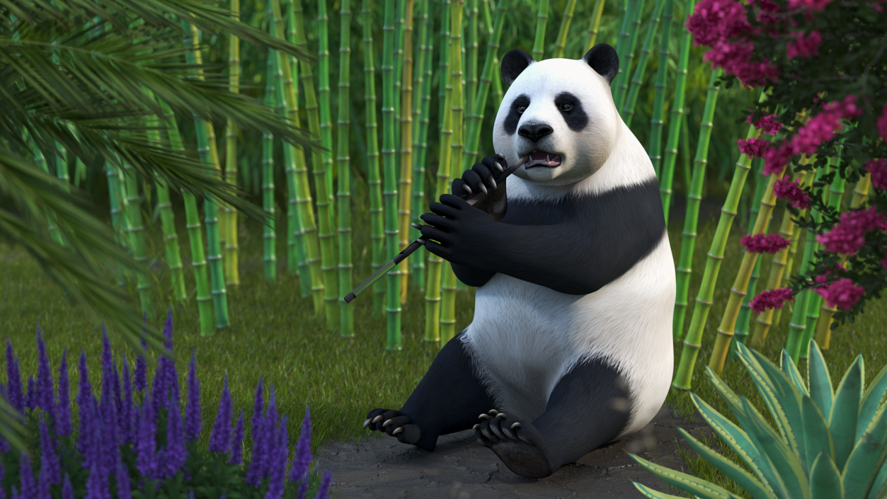 Giant Panda Sitting Pose 3D model