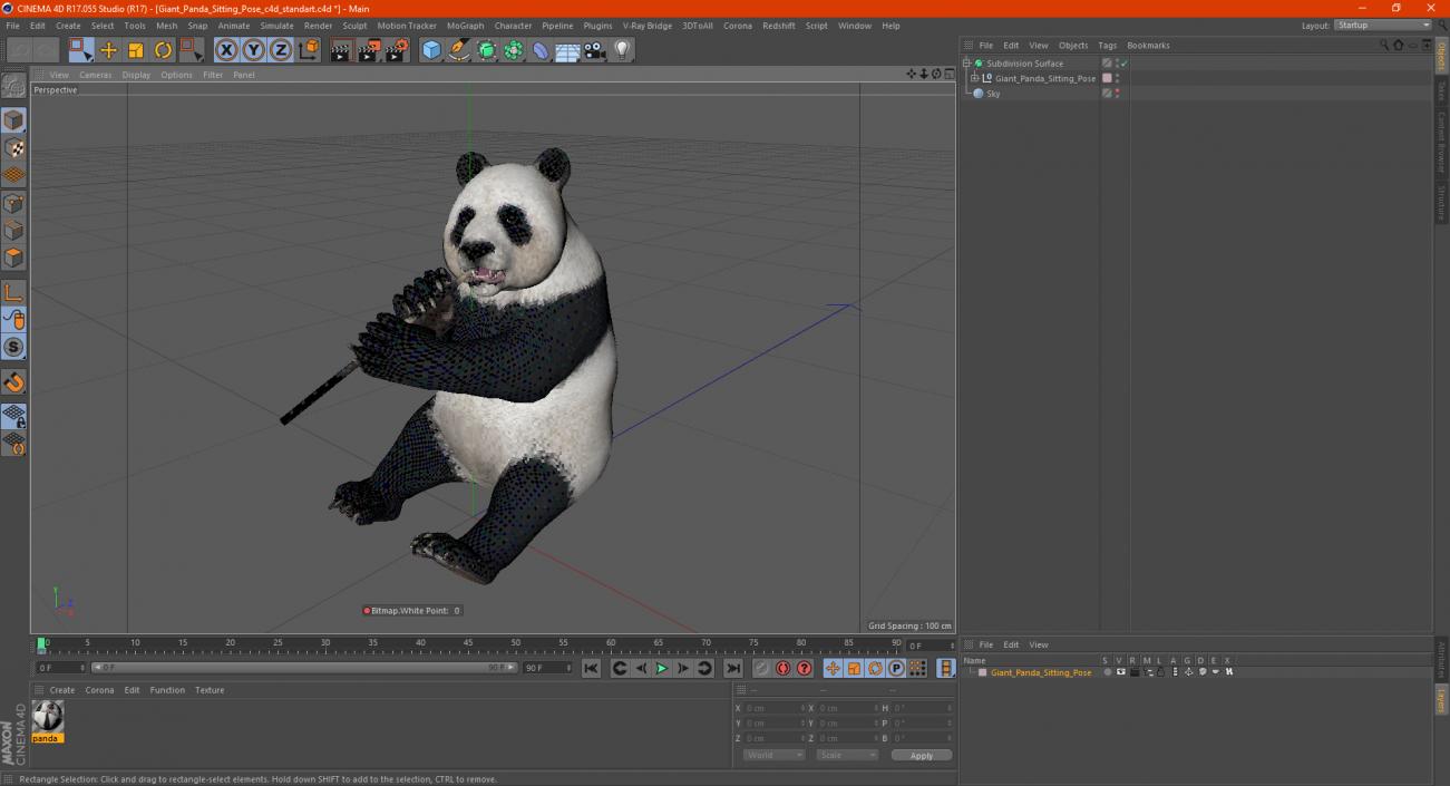 Giant Panda Sitting Pose 3D model