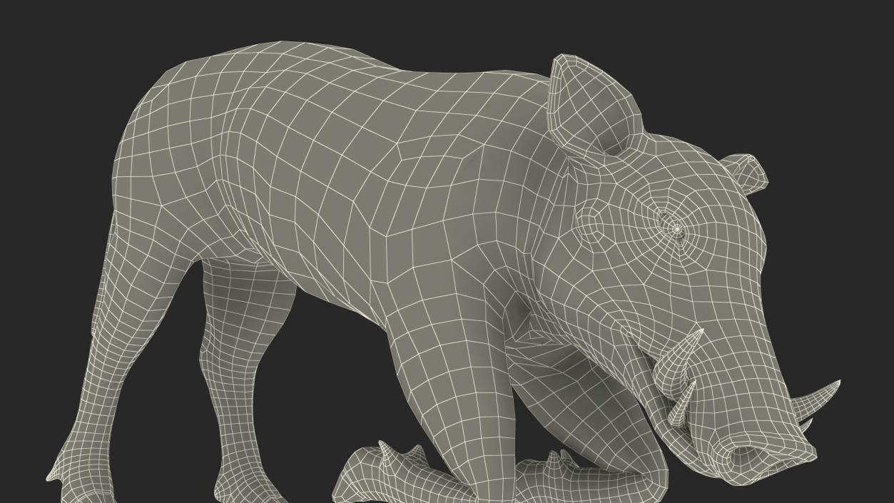 Phacochoerus Africanus Sundevallii Kneeling Pose Fur 3D