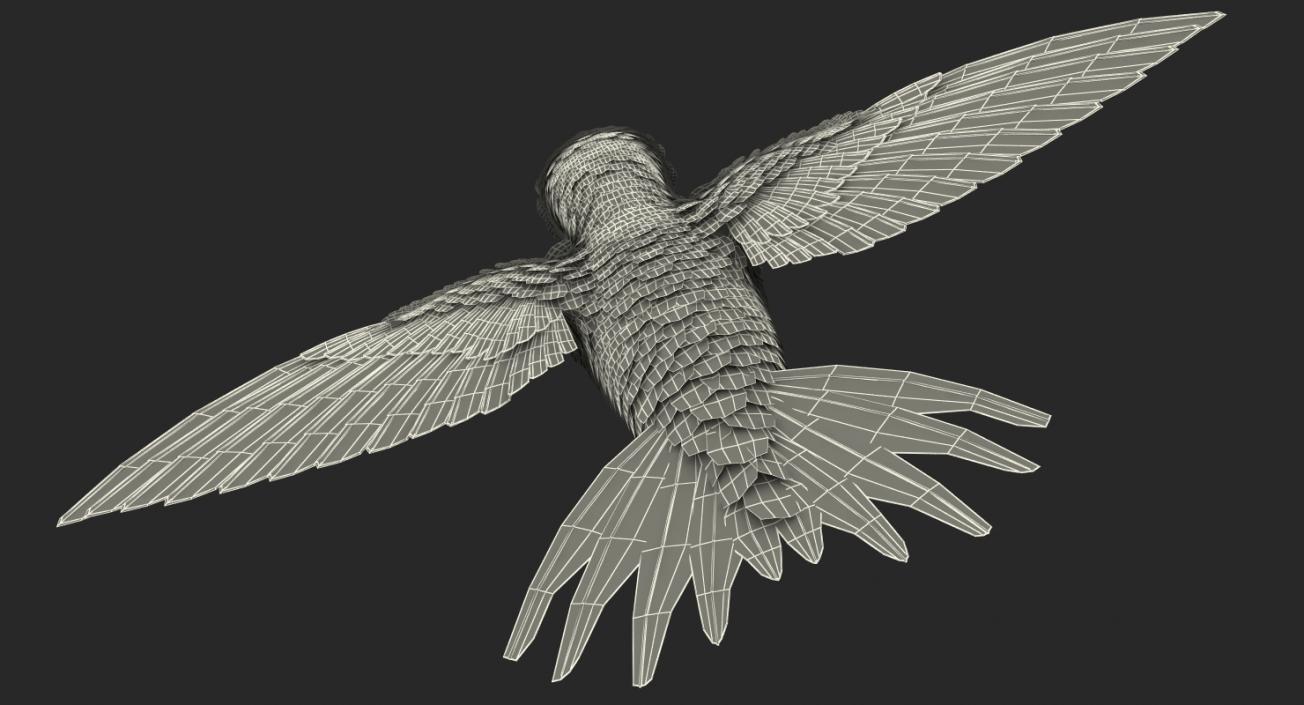 3D model Rigged Birds Collection 3