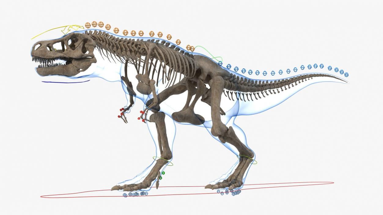 3D model Tyrannosaurus Rex Skeleton Fossil with Skin Rigged