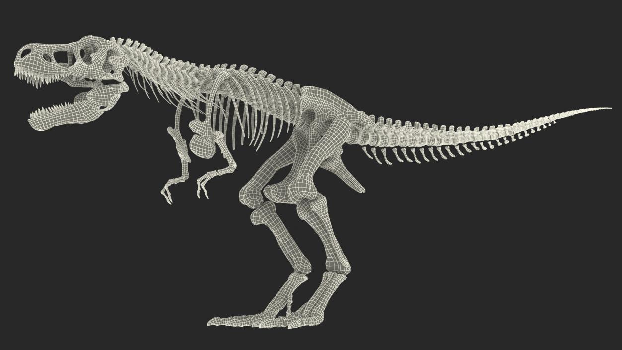 3D model Tyrannosaurus Rex Skeleton Fossil with Skin Rigged