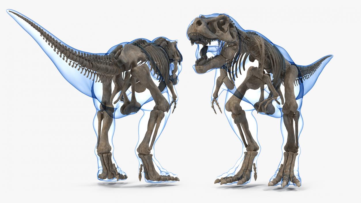 3D model Tyrannosaurus Rex Skeleton Fossil with Skin Rigged