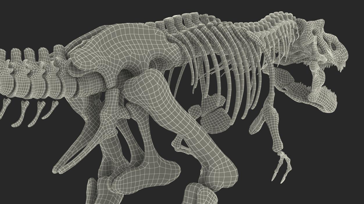 3D model Tyrannosaurus Rex Skeleton Fossil with Skin Rigged