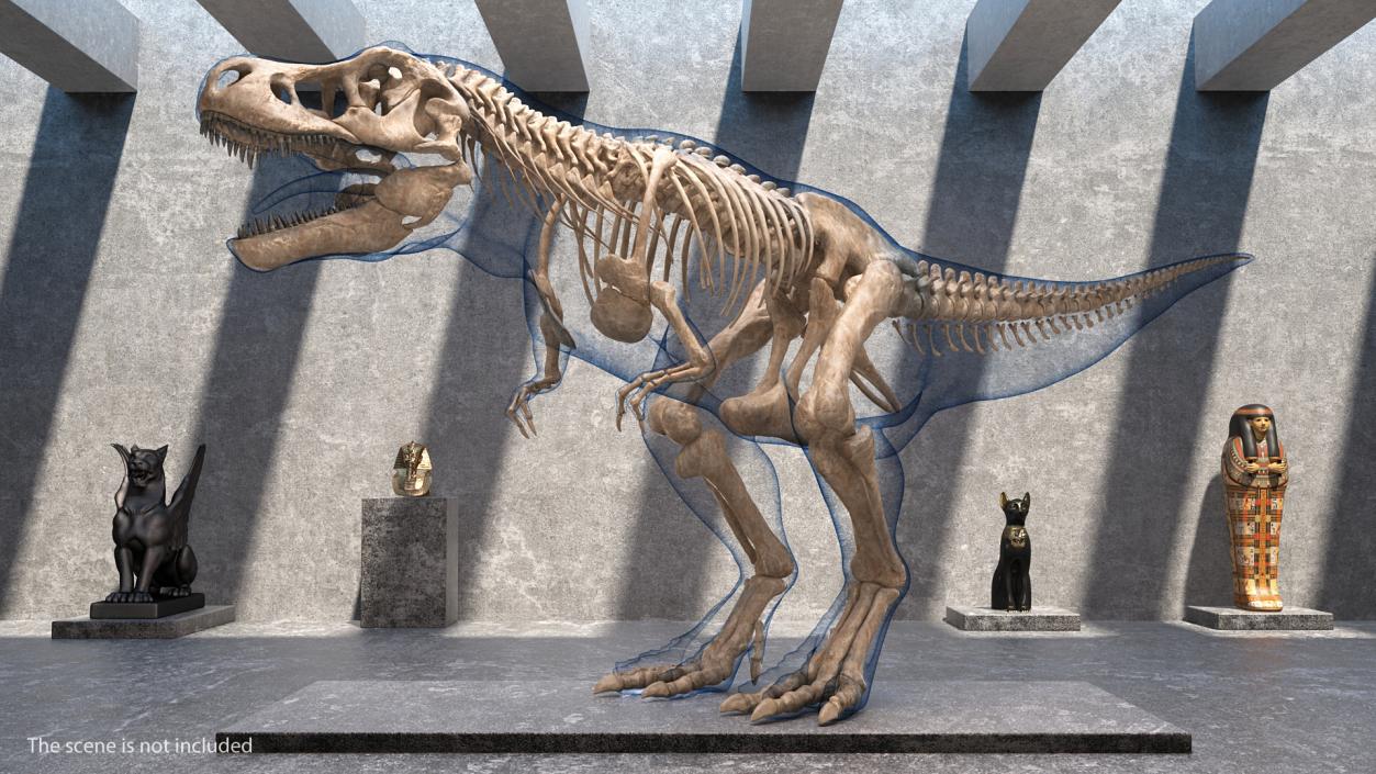 3D model Tyrannosaurus Rex Skeleton Fossil with Skin Rigged