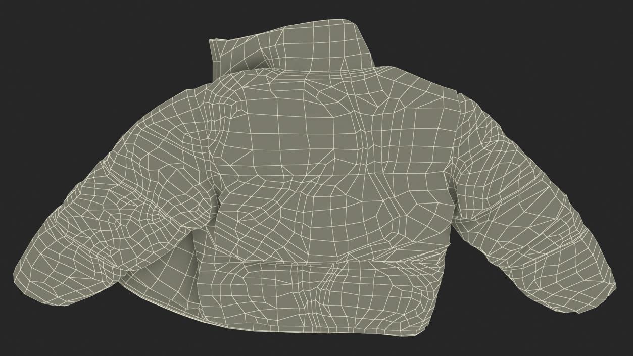 Green Mens Down Jacket Laying 3D model