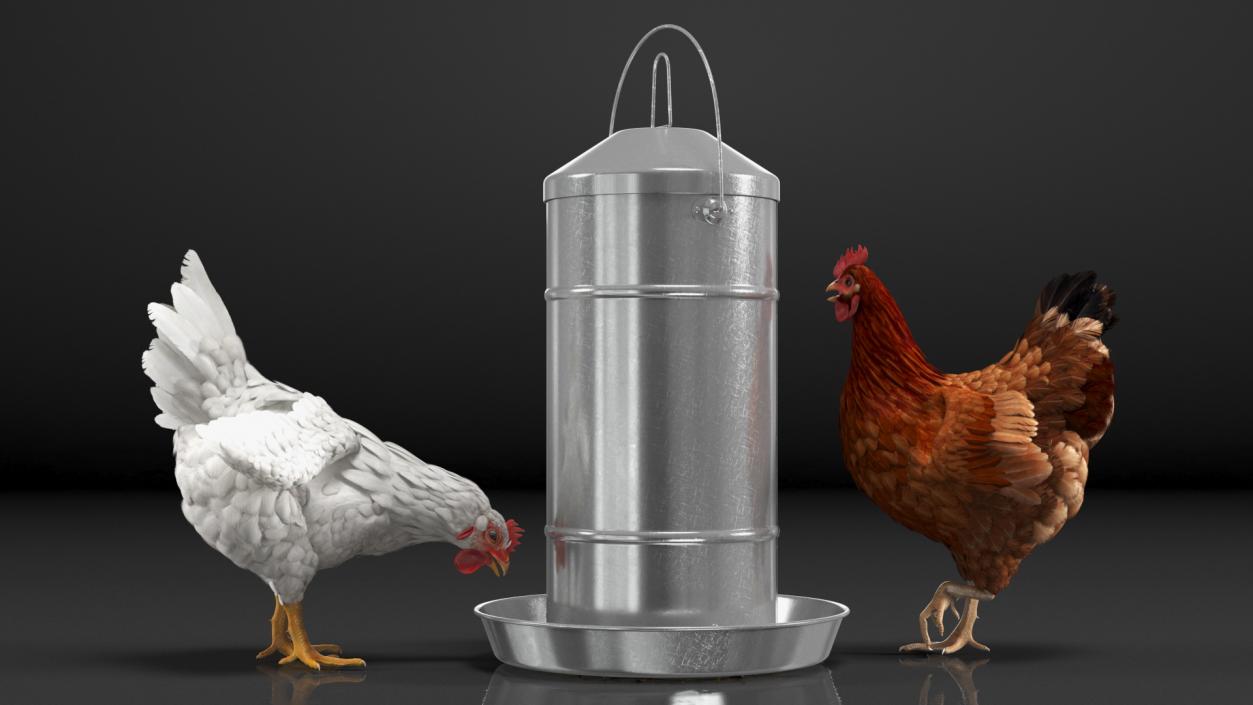 3D Poultry Feeder with Chickens model