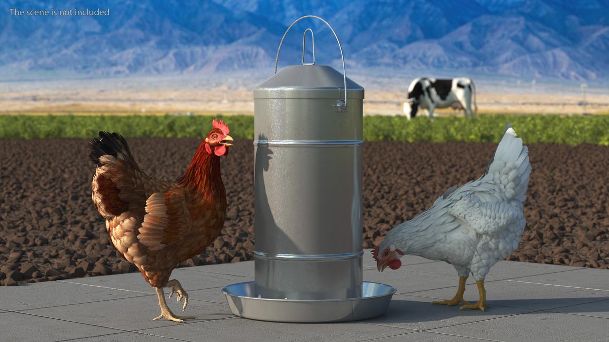 3D Poultry Feeder with Chickens model