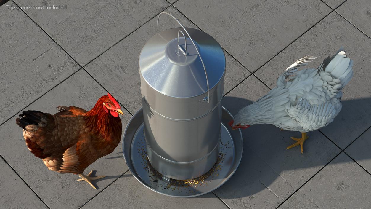 3D Poultry Feeder with Chickens model