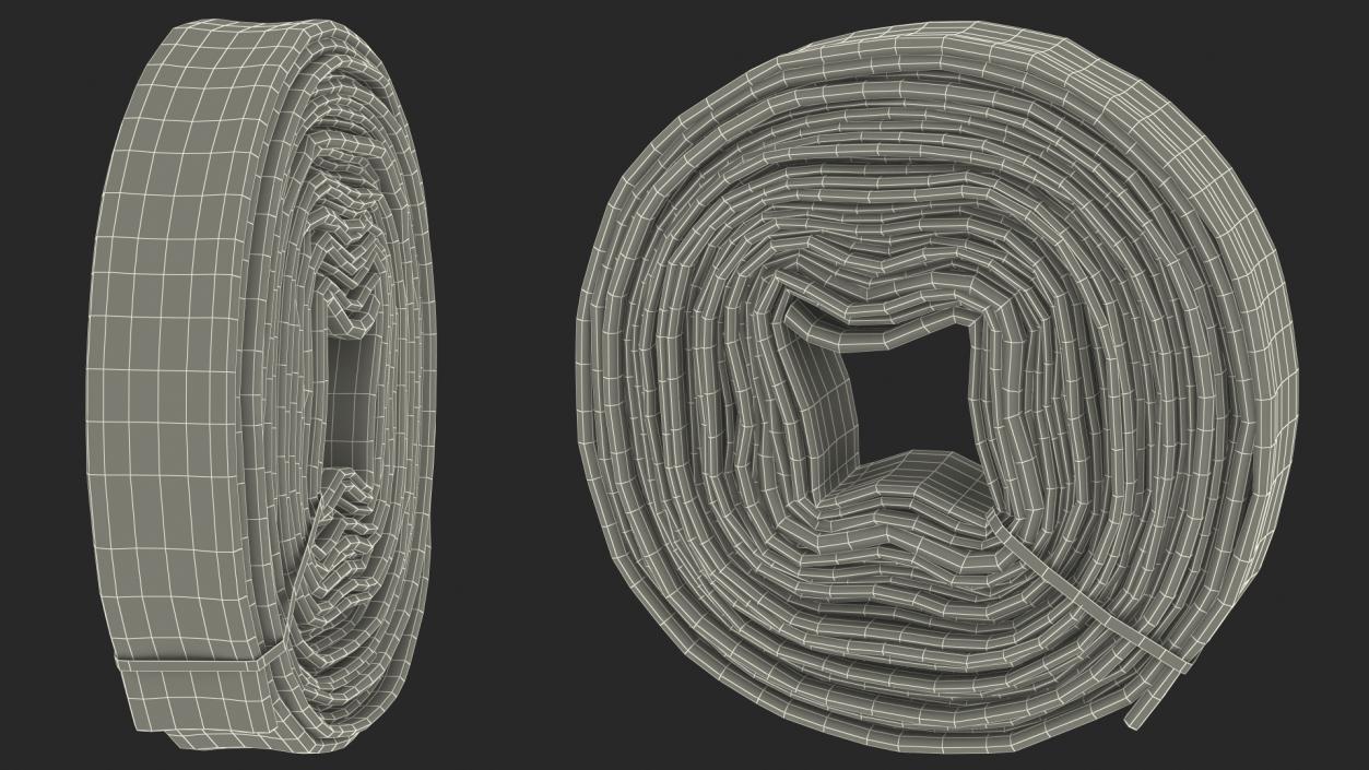 3D Fire Hose Folded