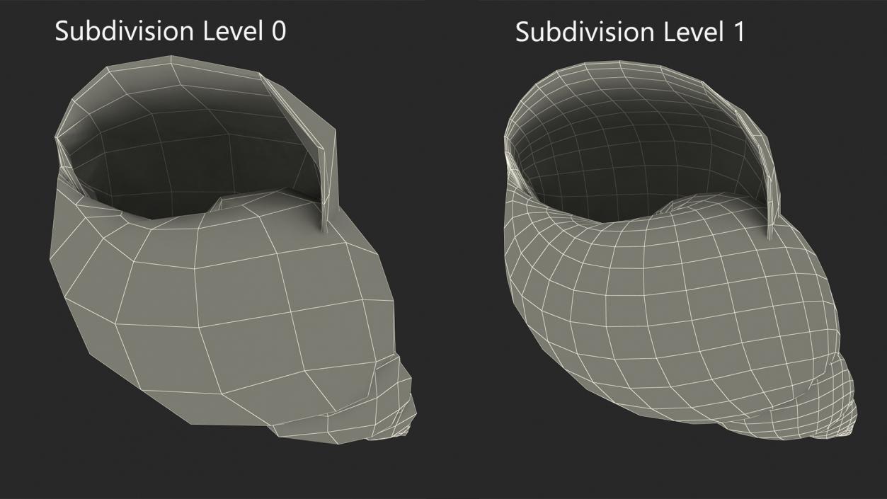 3D Archachatina Marginata Shell model