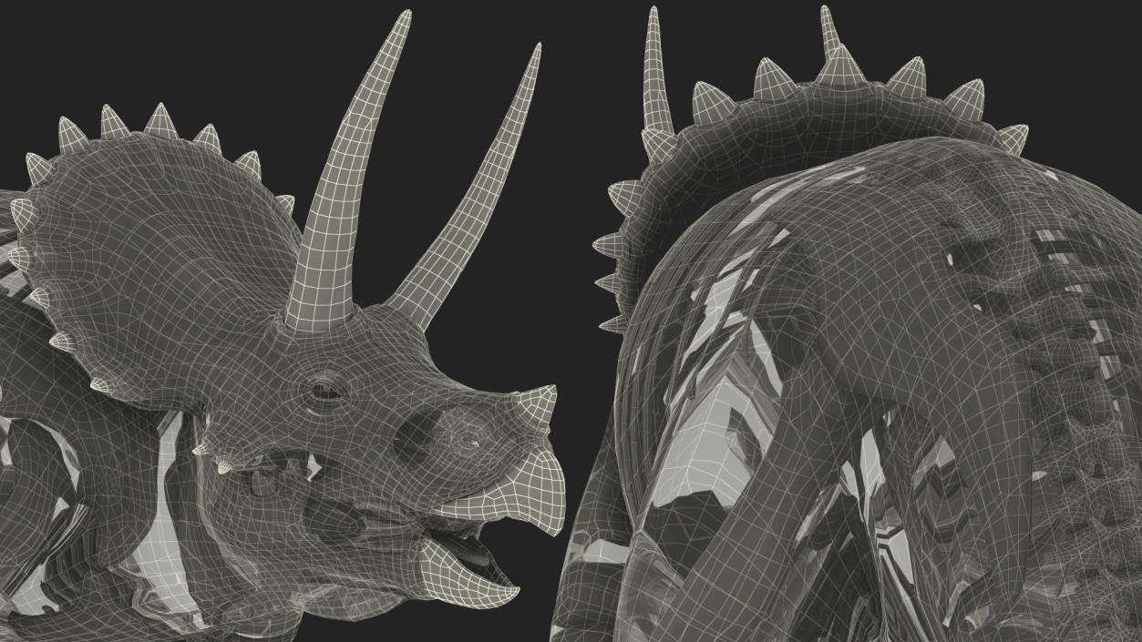 Triceratops Fossil Standing Pose with Transparent Skin 3D model