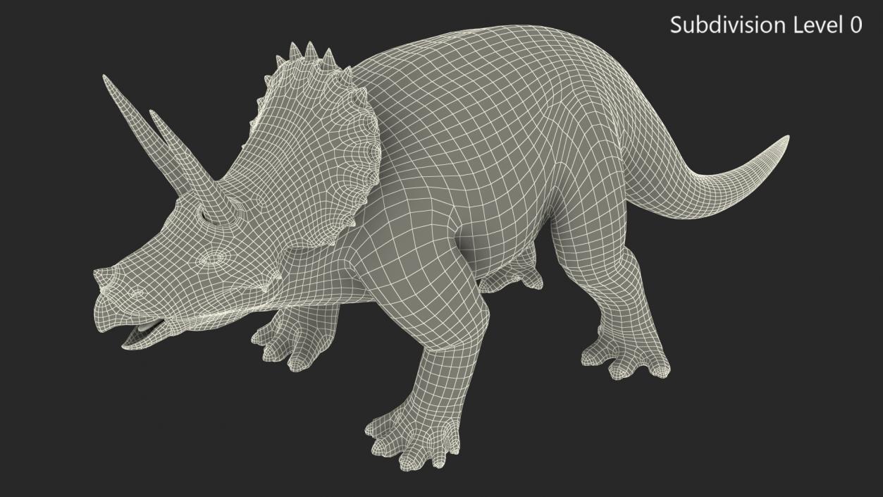 Triceratops Fossil Standing Pose with Transparent Skin 3D model