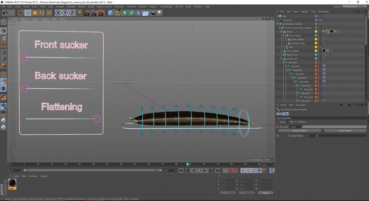 Hirudo Medicinalis Rigged for Cinema 4D 3D model