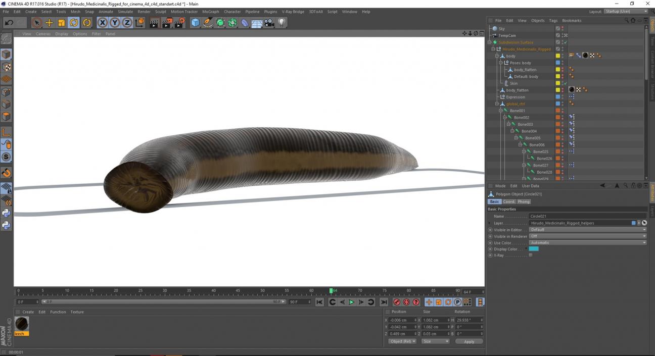 Hirudo Medicinalis Rigged for Cinema 4D 3D model