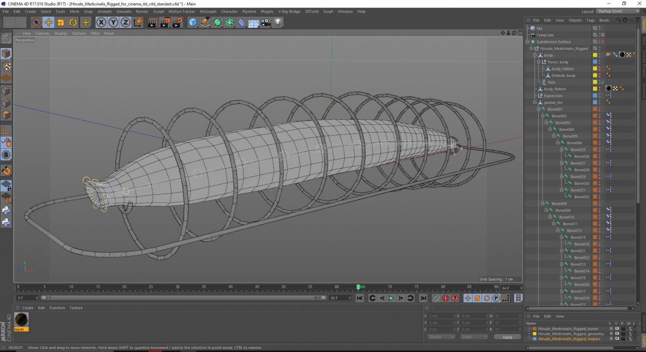 Hirudo Medicinalis Rigged for Cinema 4D 3D model