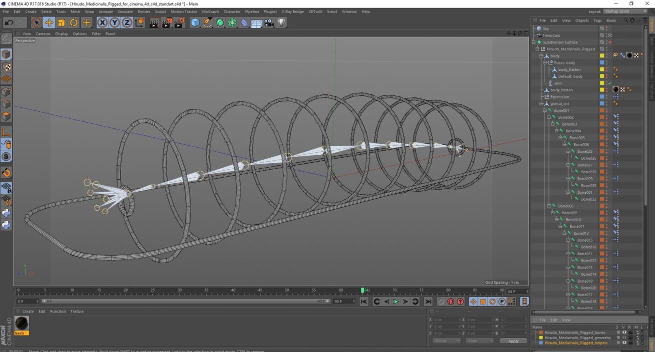 Hirudo Medicinalis Rigged for Cinema 4D 3D model