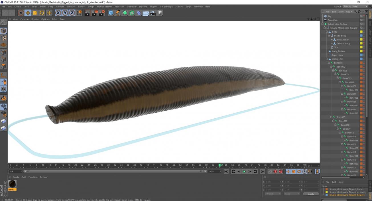 Hirudo Medicinalis Rigged for Cinema 4D 3D model