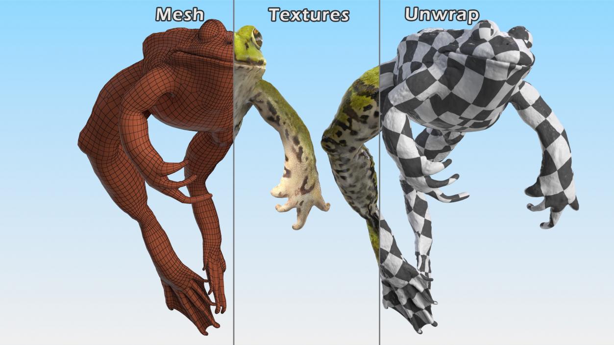 Frog Jumping Pose 3D