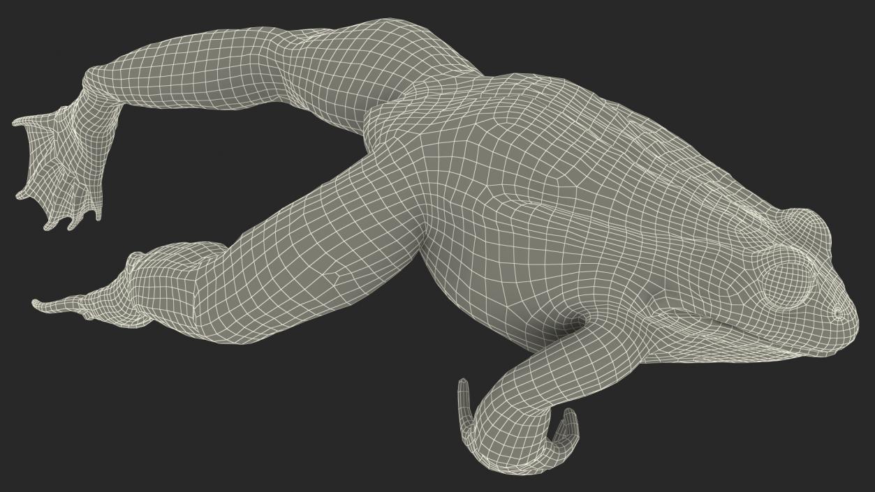 Frog Jumping Pose 3D