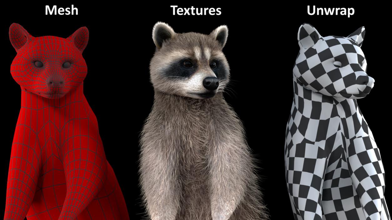 Raccoon with Towel Collection 3D model