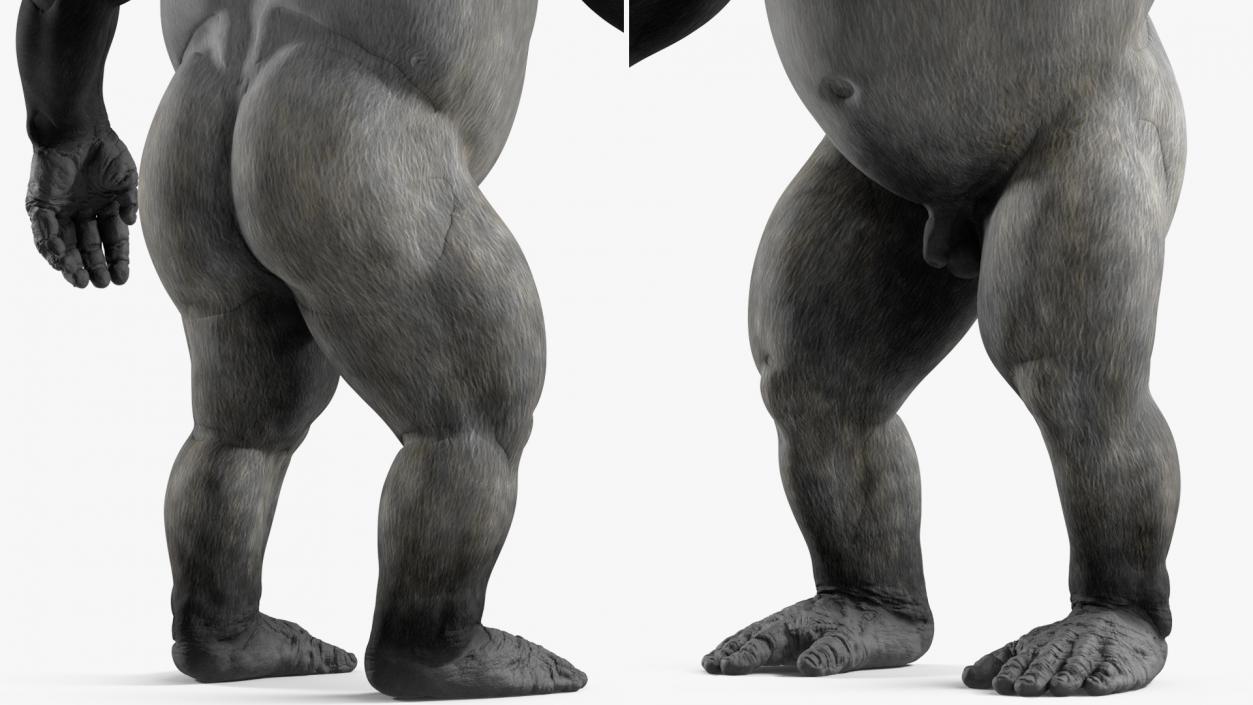 3D Gorilla Basic Pose model