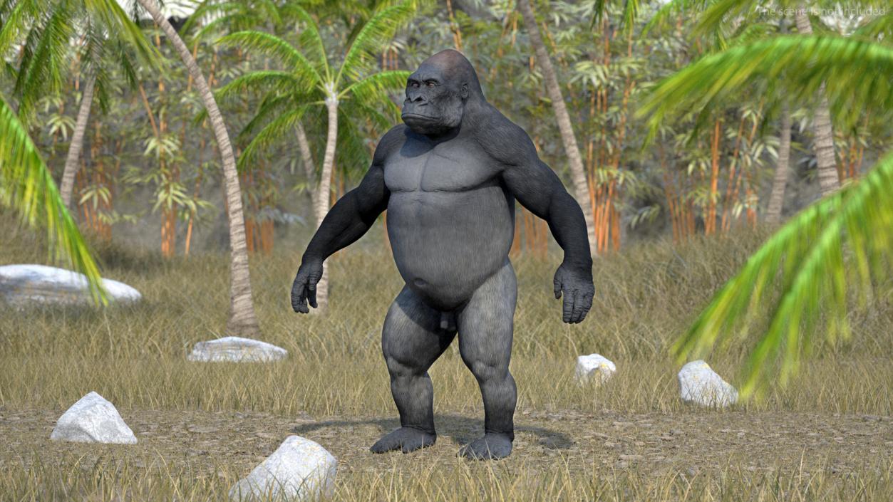 3D Gorilla Basic Pose model