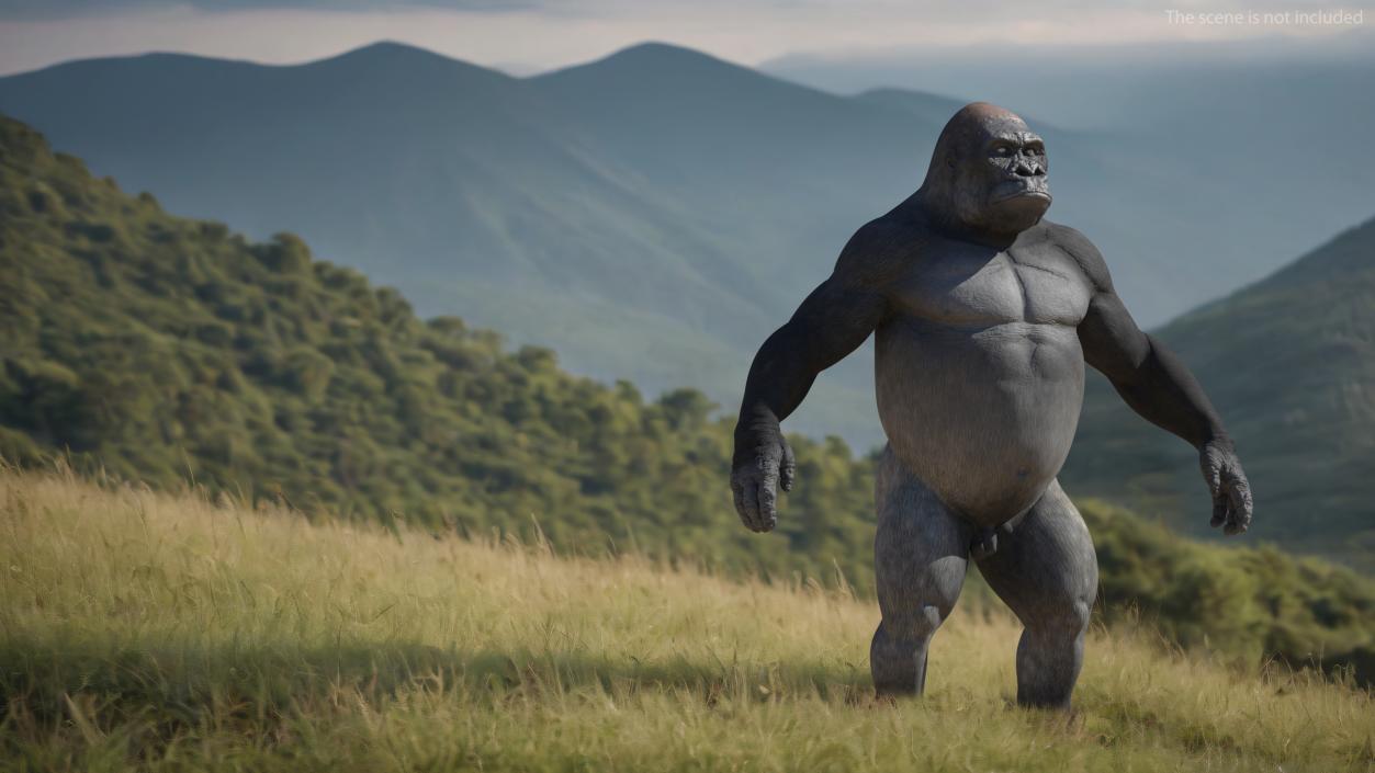 3D Gorilla Basic Pose model