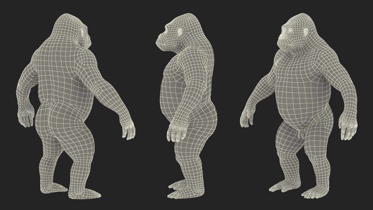 3D Gorilla Basic Pose model