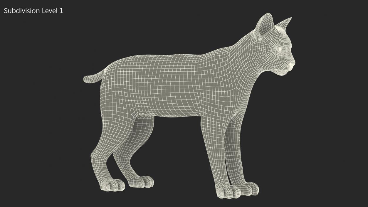 Bobcat Fur Rigged 3D