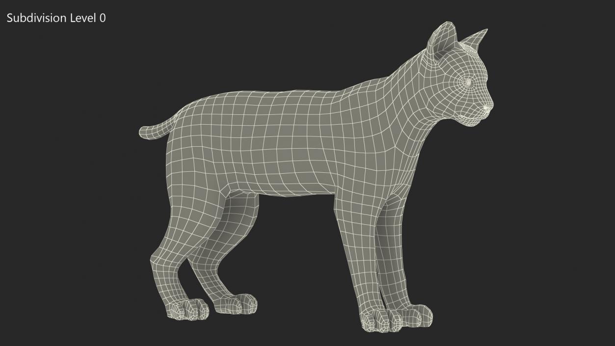 Bobcat Fur Rigged 3D